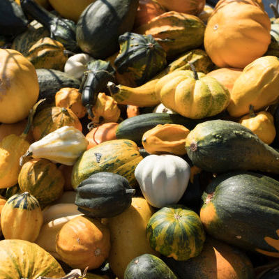 088-Nonnenmacher-1812-Catherine Theulin-Contrast Photography.jpg